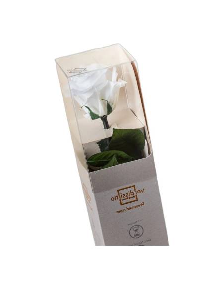 Rose éternelle mini blanche sur tige dans son coffret individuel à fenêtre