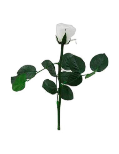 Rose éternelle mini blanche sur tige avec ses feuilles, sans coffret