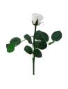 Rose éternelle mini blanche sur tige avec ses feuilles, sans coffret
