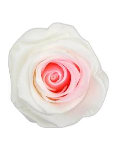 Rose éternelle blanche sur tige longue avec feuillage, vue entière sur fond clair 2