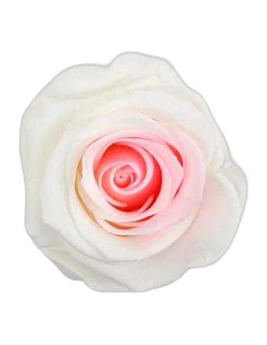 Roses éternelles sur tige longue, lot de 30, photo 2 sur 91