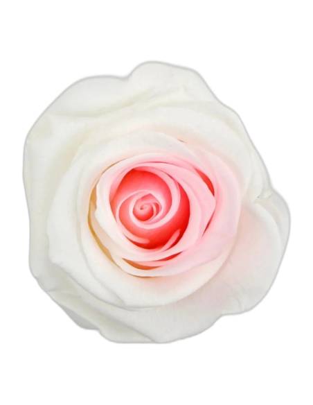 Roses éternelles sur tige longue, lot de 30, photo 2 sur 91