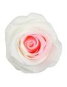 Roses éternelles sur tige longue, lot de 30, photo 2 sur 91