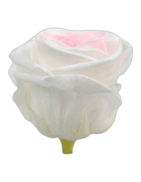 Roses éternelles sur tige longue, lot de 30, photo 3 sur 91
