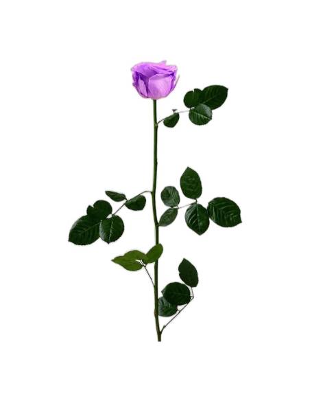 Roses éternelles sur tige longue, lot de 30, photo 5 sur 91