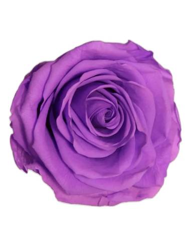 Roses éternelles sur tige longue, lot de 30, photo 6 sur 91