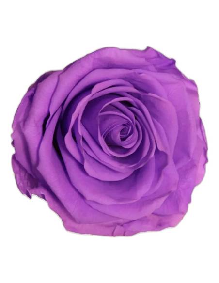 Roses éternelles sur tige longue, lot de 30, photo 6 sur 91