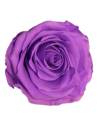 Roses éternelles sur tige longue, lot de 30, photo 6 sur 91