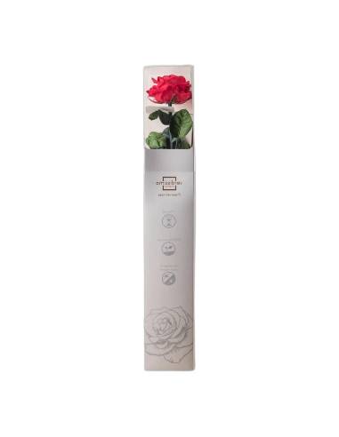 Coffret debout de la rose éternelle rouge sur tige longue