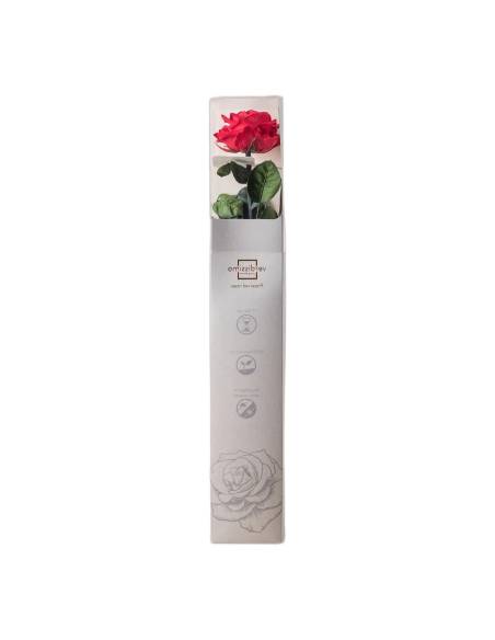 Coffret debout de la rose éternelle rouge sur tige longue