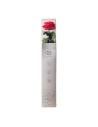 Coffret debout de la rose éternelle rouge sur tige longue