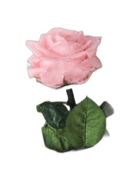 Rose éternelle rose pâle sur tige longue dans son coffret à fenêtre