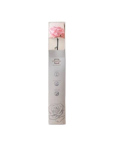 Coffret debout de la rose éternelle rose pâle sur tige longue