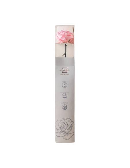 Coffret debout de la rose éternelle rose pâle sur tige longue