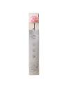Coffret debout de la rose éternelle rose pâle sur tige longue