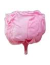 Tête de rose de jardin stabilisée rose pâle vue de profil avec son pédoncule