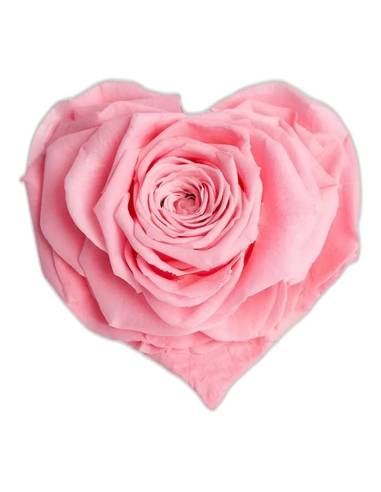 Rose éternelle en forme de cœur, petit modèle, vue 4 sur 6