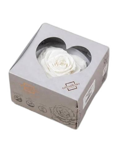 Rose éternelle en forme de cœur, petit modèle, vue 5 sur 6
