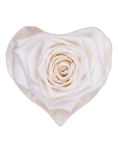 Rose éternelle en forme de cœur, petit modèle, vue 6 sur 6