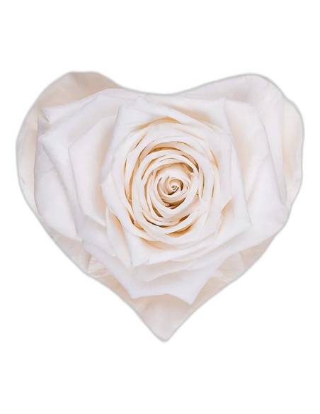 Rose éternelle en forme de cœur, petit modèle, vue 6 sur 6