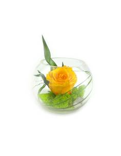 Boule déco rose éternelle Jaune lichen