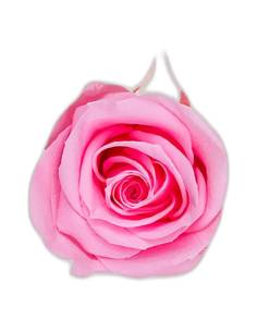 Tête de rose éternelle medium rouge, vue de dessus 2