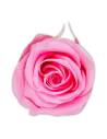 Tête de rose éternelle medium rose pâle, vue de dessus