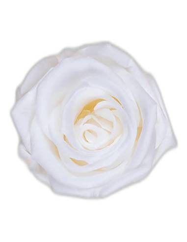 Tête de rose éternelle medium blanche, vue de dessus