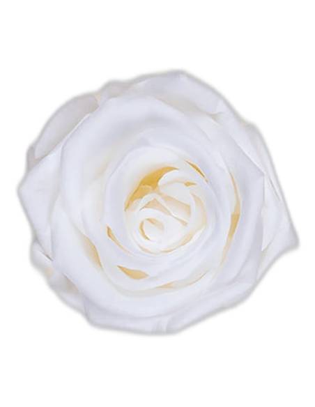 Tête de rose éternelle medium blanche, vue de dessus