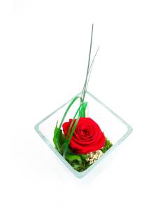 Cube déco GM rose éternelle Rouge