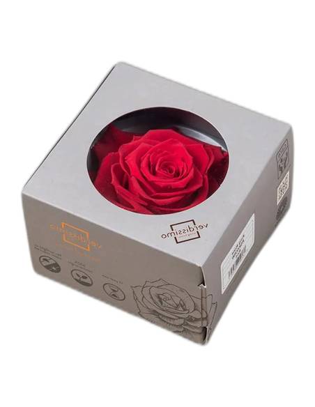 Boîte à hublot rond contenant une tête de rose stabilisée King rouge