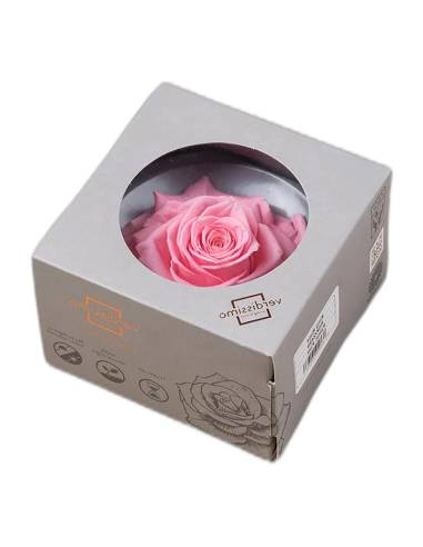 Boîte à hublot rond contenant une tête de rose stabilisée King rose pâle