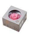 Boîte à hublot rond contenant une tête de rose stabilisée King rose pâle