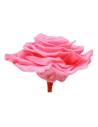 Tête de rose stabilisée King rose pâle vue de profil, avec son pédoncule