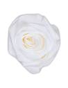 Têtes de rose stabilisées mini lilas clair dans leur boîte