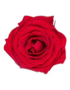 Têtes de roses éternelles Princess, boîte de 16, vue 2 sur 60