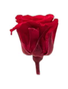 Têtes de roses éternelles Princess, boîte de 16, vue 2 sur 60 2
