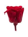 Têtes de roses éternelles Princess, boîte de 16, vue 3 sur 60