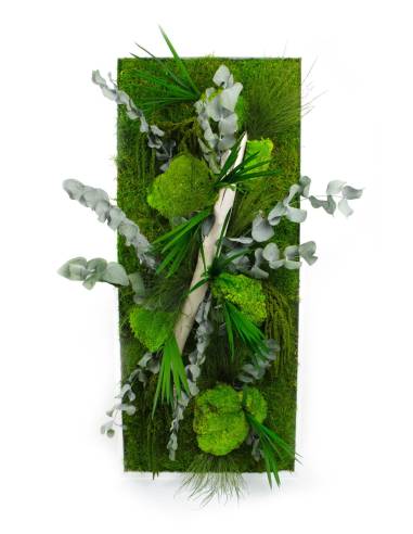 Tableau végétal stabilisé paysage L, vue 2