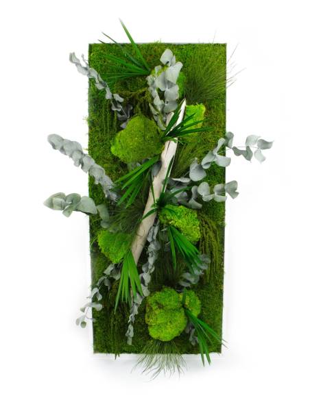 Tableau végétal stabilisé paysage L, vue 2