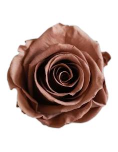 Tête de rose éternelle standard moka cacao, vue de dessus