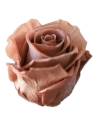 Tête de rose éternelle standard moka cacao, vue de profil sans tige