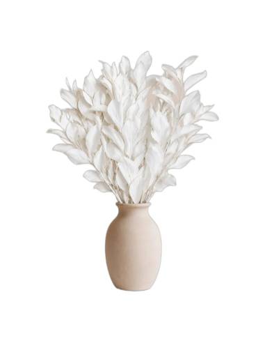 Ruscus stabilisé blanc dans un vase en céramique posé sur une table