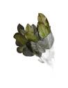 Salal stabilisé, larges feuilles brillantes, vue 2 sur 8