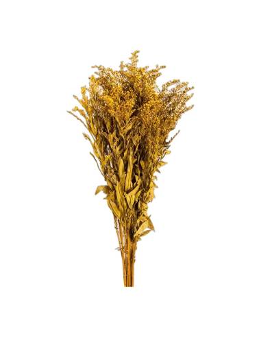 Botte de solidago stabilisé jaune, grappes de petites fleurs et feuilles fines