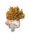 Solidago stabilisé, verge d'or en botte, photo 4 sur 12
