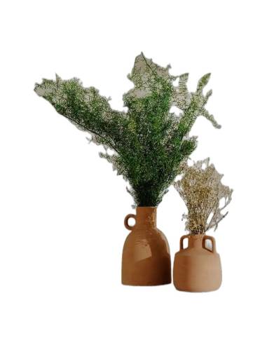 Asparagus Sprengeri stabilisé dans un vase en terre cuite, à côté d'un petit vase de gypsophile