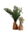 Asparagus Sprengeri stabilisé dans un vase en terre cuite, à côté d'un petit vase de gypsophile