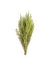 Botte de stoebe stabilisé vert citron, ramure fine