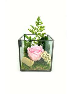 Cube Terra rose éternelle Rose